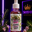 Rosemary Growth Serum